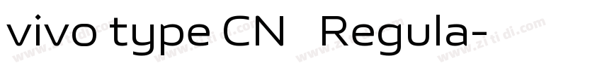 vivo type CN简 Regula字体转换